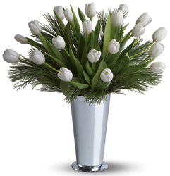 Tulips and Pine Deluxe from Kinsch Village Florist, flower shop in Palatine, IL